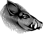 Miler Spirits - dzik